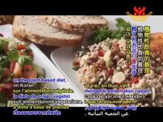 Holy Qur'an's Plant-Based Food Hierarchy-P1/2 (In Persian)