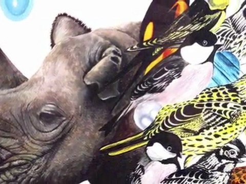 Kelly Allen - Everything is Everything - Medicine Agency