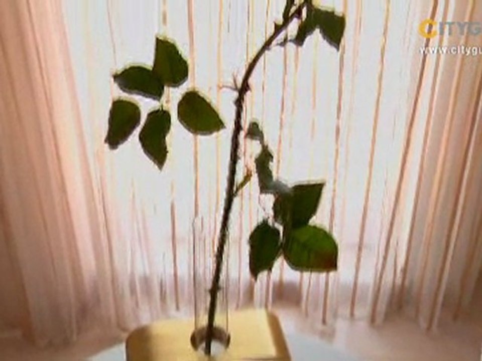 Boscolo Hotel Exedra, Nizza