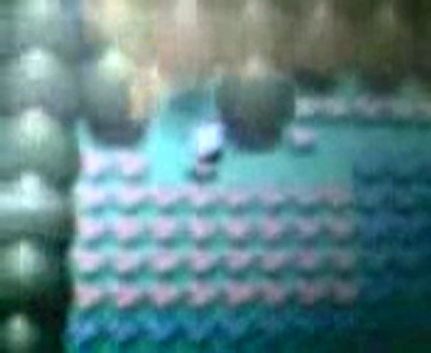 Pokemon Shaymin Cheat