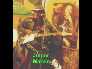 the Wailers band-Some say let it grow