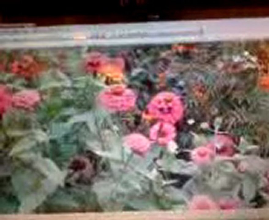 New song 2010  ,Nachida "Ya Salaam" by Ambar Abdisalam