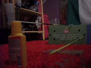 Première séance de saut Pour Milka ♥