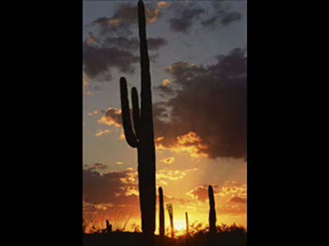 Sonoran Integrative Healthcare: A Holistic approach