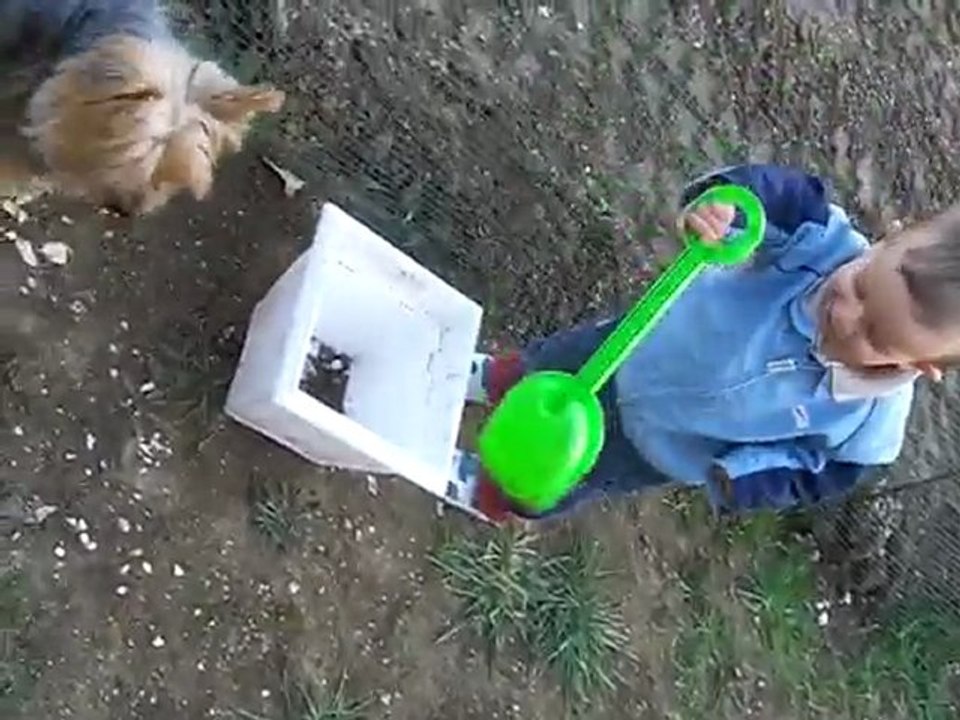 enzo nous remplit de terre la partie clôturée