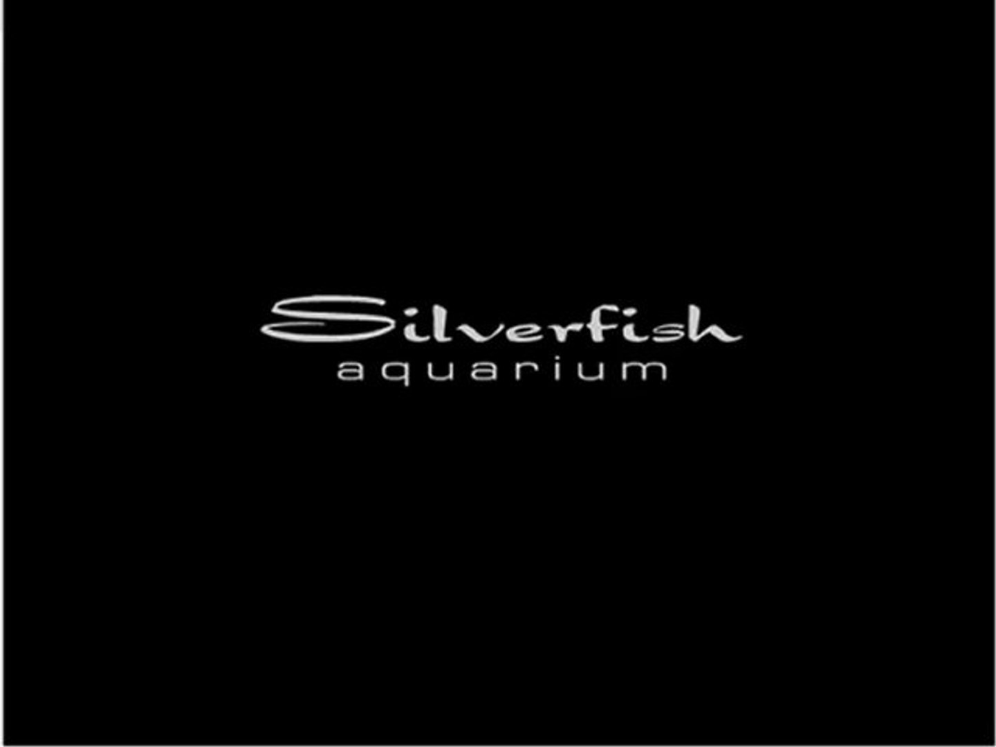 Octopus Studios - Silverfish Aquarium