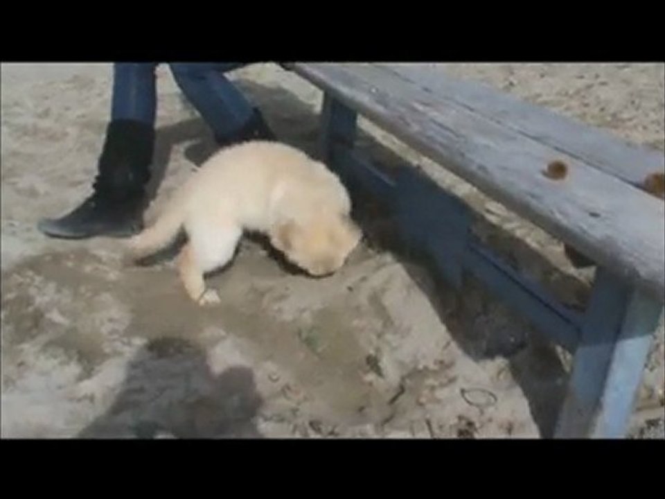 Bienvenue a la maison