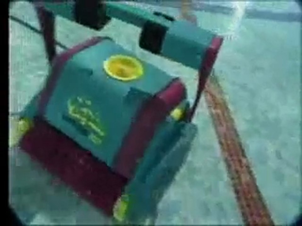 Robot Dolphin Diagnostic 2001
