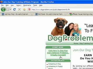 How to find affiliate products to sell online