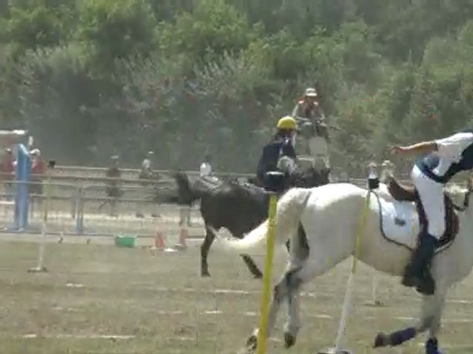 open 1 au championnat de france