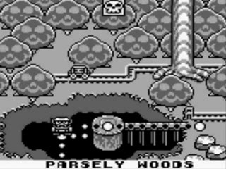 SML 3: Wario Land Walkthrough/08 Les "Parsely Woods"