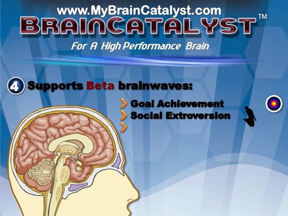Create a High Performance Brain