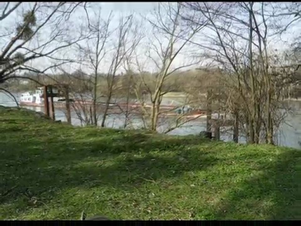 BALLADE AU BORD DE SEINE LE 23 MARS 2010