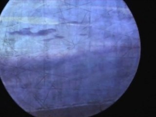 Birds of Dawn - Live@ Plané Ari Home