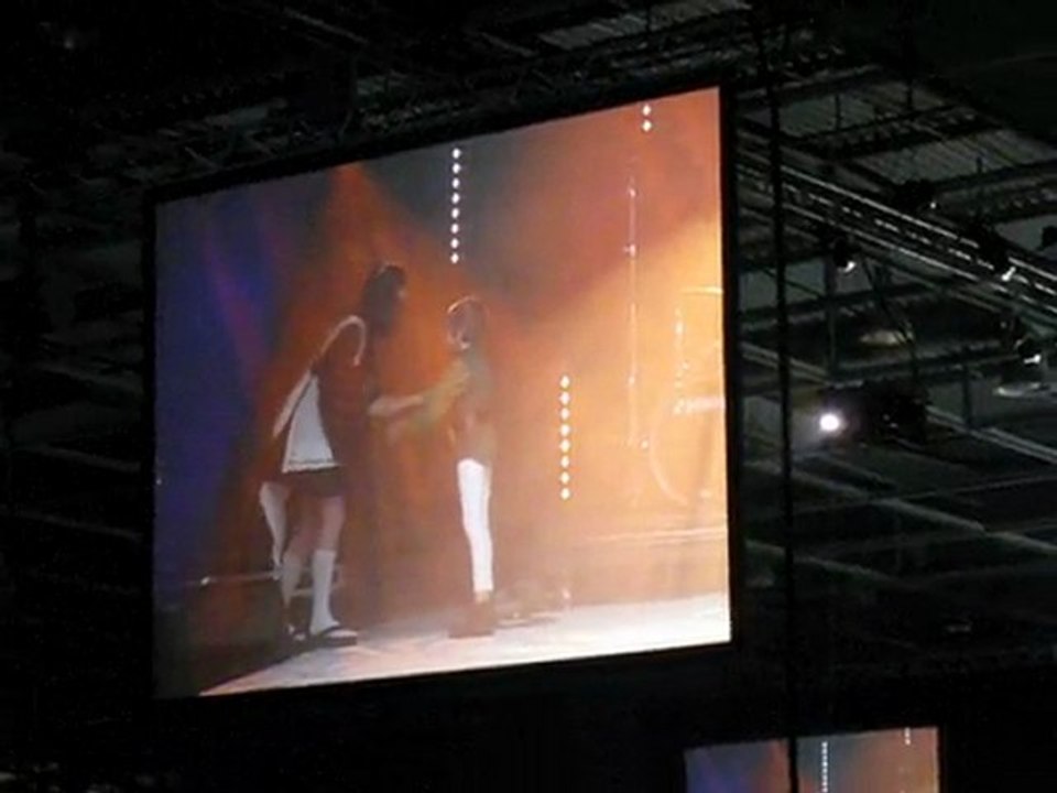 Japan Expo 2009, Cosplay - Link & Setsuna