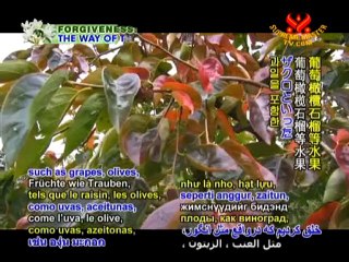 Holy Qur'an's Plant-Based Food Hierarchy-P2/2 (In Persian)