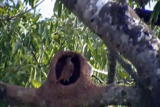 joão de barrro NO SESC DE CALDAS NOVAS GOIÁS