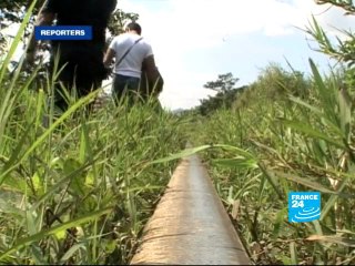 Les migrants, nouvelles proies des cartels de la drogue