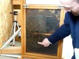 L'apiculture, la ruche avec Apis37