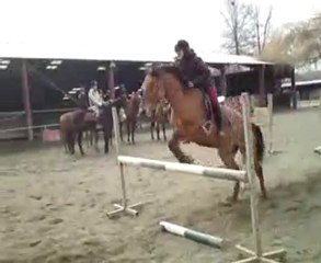 Moi et Coca sans étrier