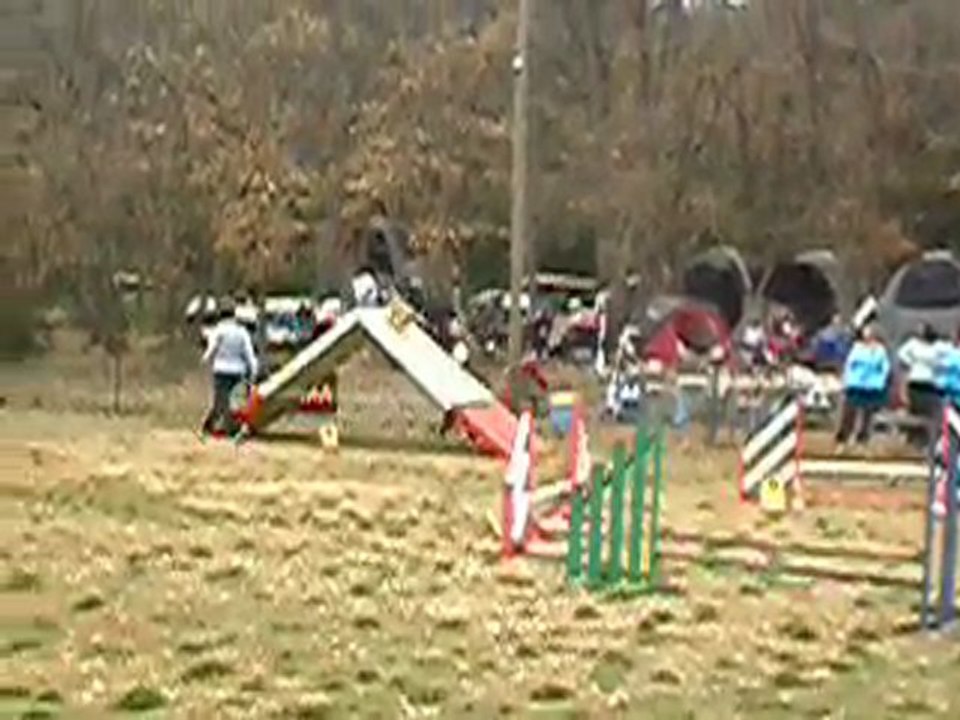 agi roquefure alf