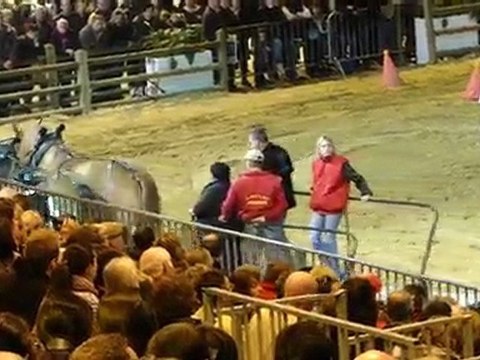 Traction chevaux bretons Trophée trait d'avenir SIA 2010