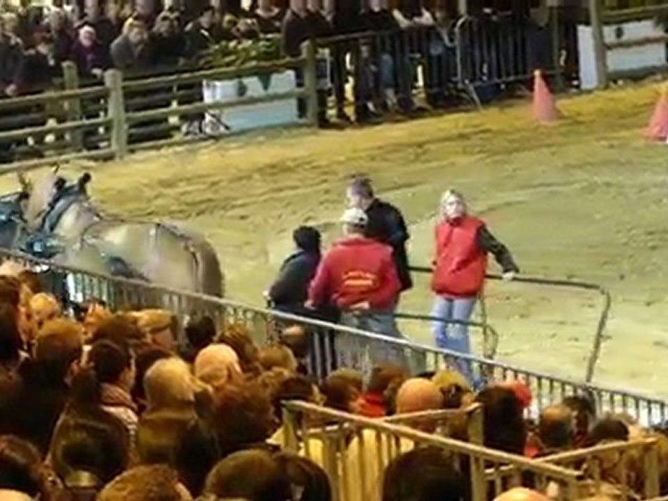 Traction chevaux bretons Trophée trait d'avenir SIA 2010