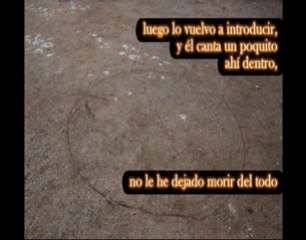 Poema en fotografías: Pájaro Azul de Bukowski