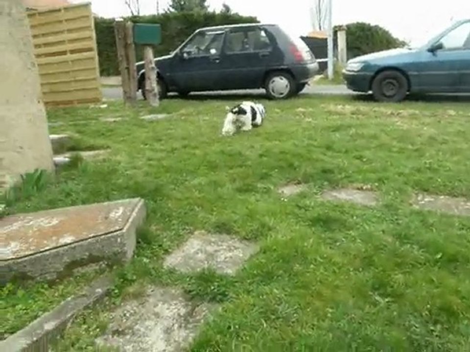 Mes petits bou de chou dans l'herbe, quel bonheur!