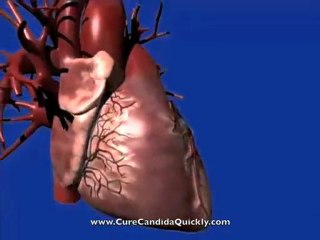 Male Yeast Infection Treatment
