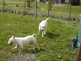 Petite course entre amis