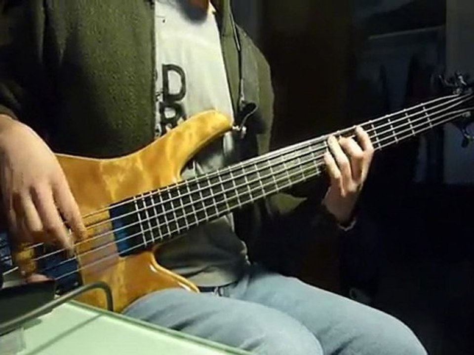 Incubus - New Skin Bass Guitar Cover