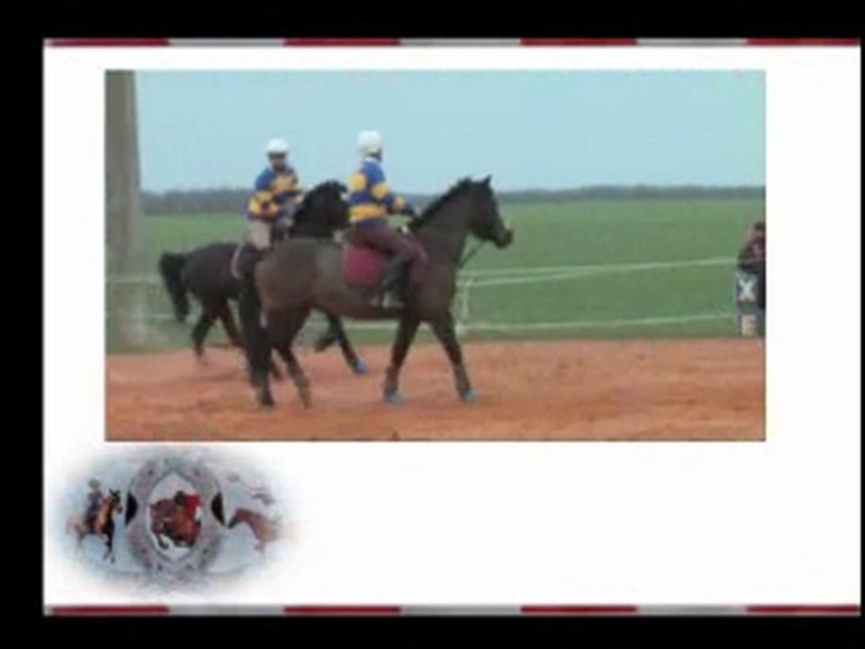 Horse-Ball - journée fermière (14 03 2010)