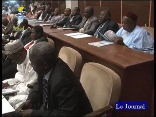 JOURNAL TV TCHAD FRANCAIS  DU 23 mars 2010 à 23:30:54