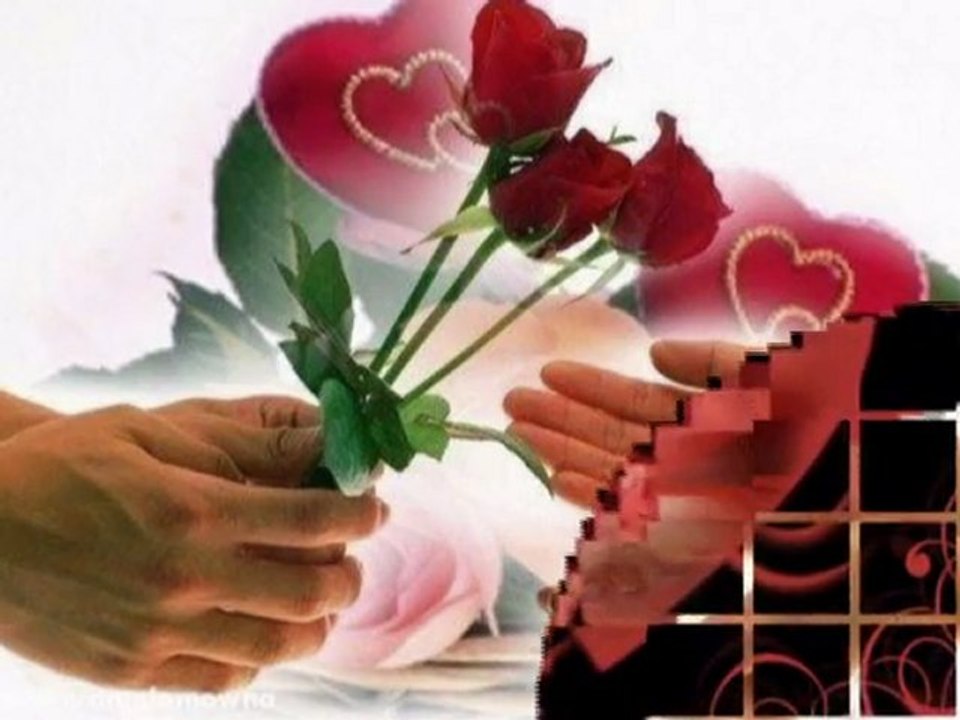 Stevie Wonder - I just called to say I love you.mpg