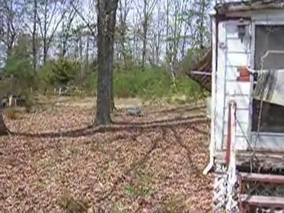 Buy Land Louisa, Land For sale In Louisa County