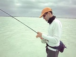 Eagle eyes Bonefishing Long Island Bahamas