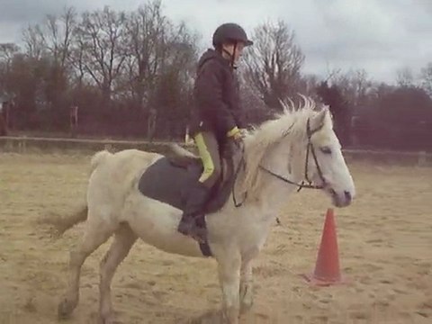 Equitation : samedi 13 mars 2010