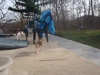 kinder mars 2010 025