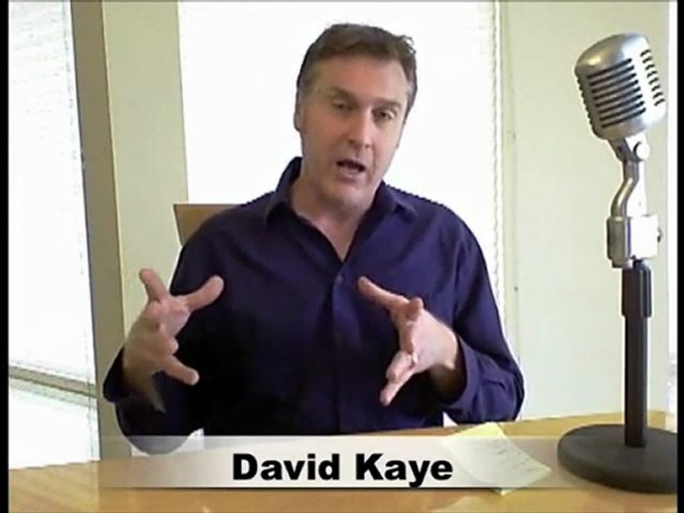 VOICEOVER ARTIST ANIMATION VOICE ACTOR DAVID KAYE