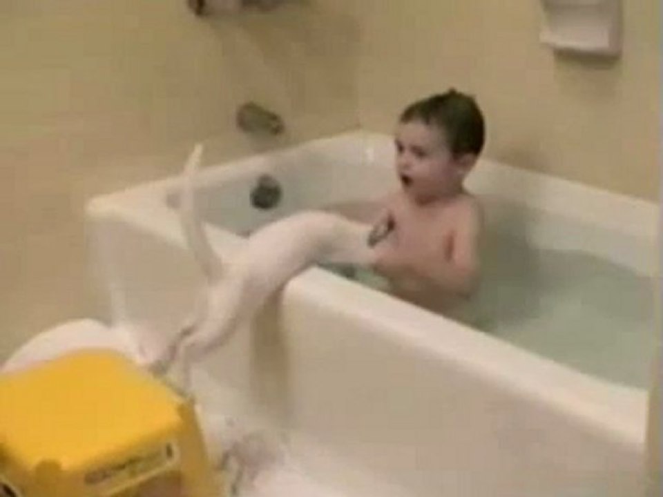 funny video -  cat and the bath