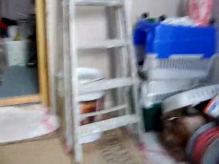 tao c'est mon plastic