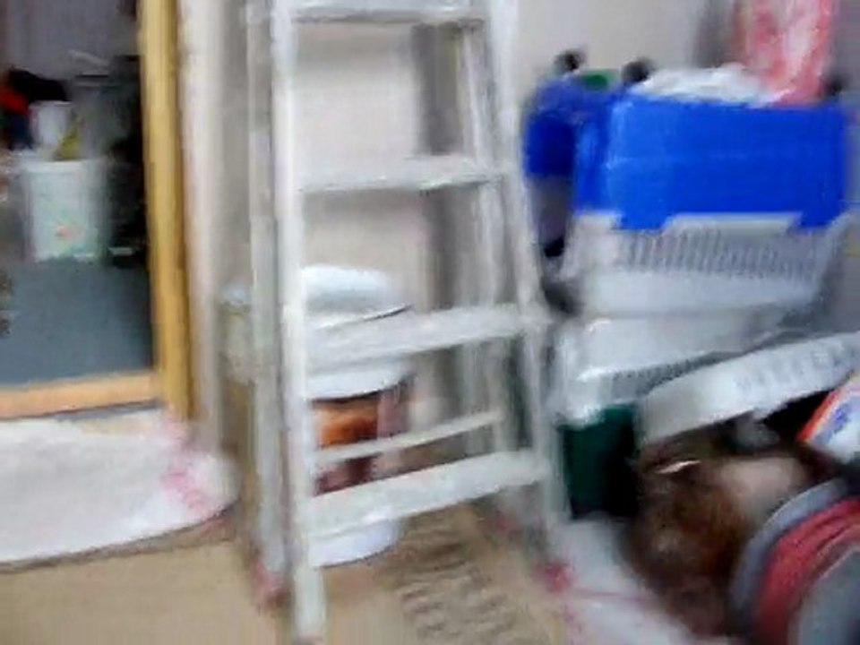 tao c'est mon plastic