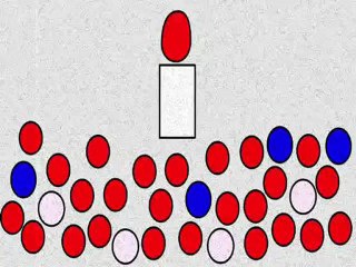 Les Globules expérience 321