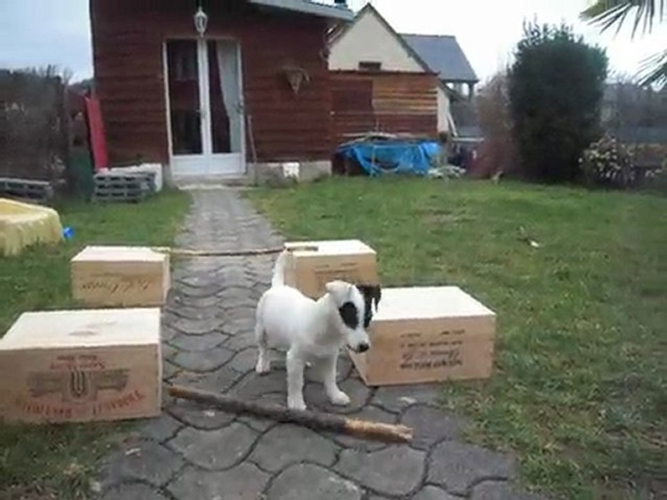 Eden et l'agility (5)