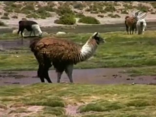 ENT GPV Deserto do Atacama