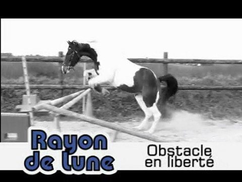 Obstacle en liberté pour Rayon de Lune