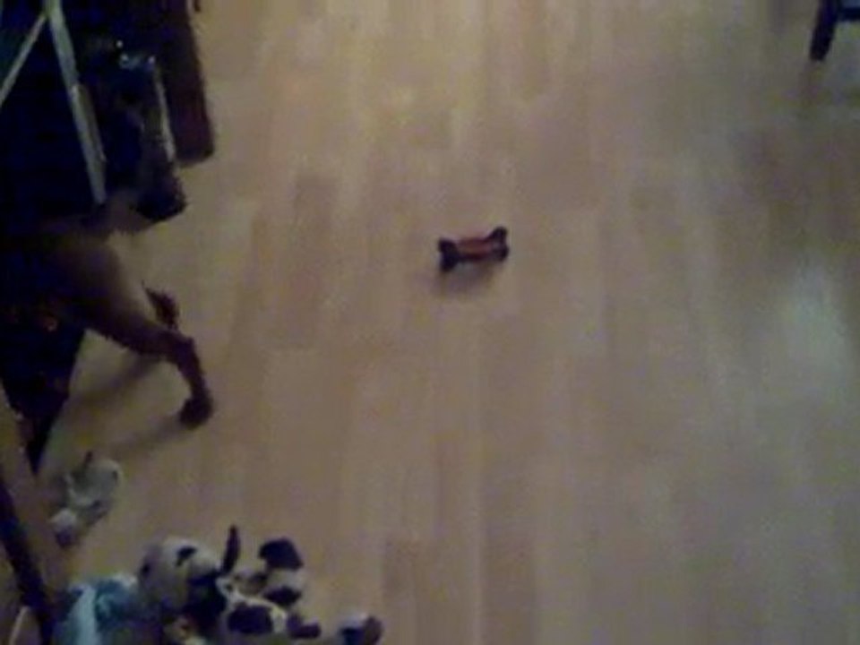 elfy et le point rouge... ahah ahah