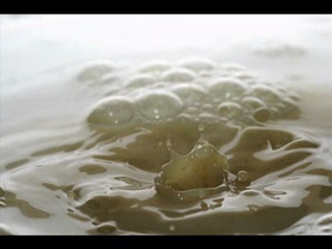 e La pluie fait des claquettes 2006