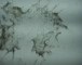 Expériences numériques - Animation de sable - "Trois petis pois"